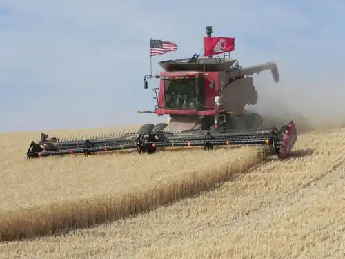 Commercial Agriculture